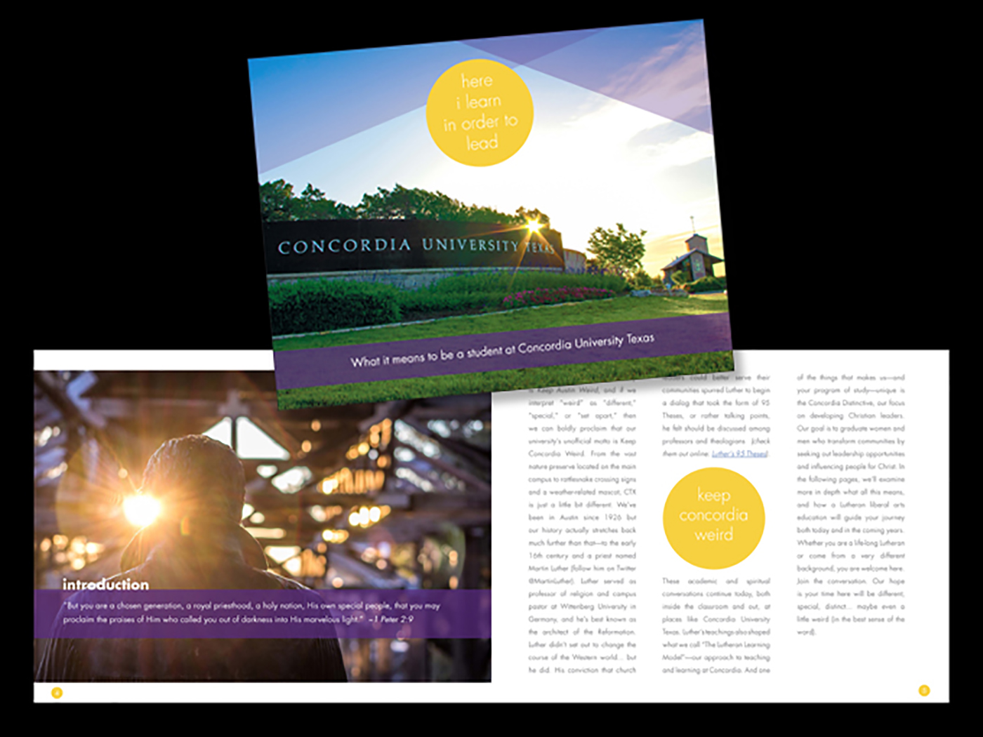 Photo of Concordia University Austin Brochure