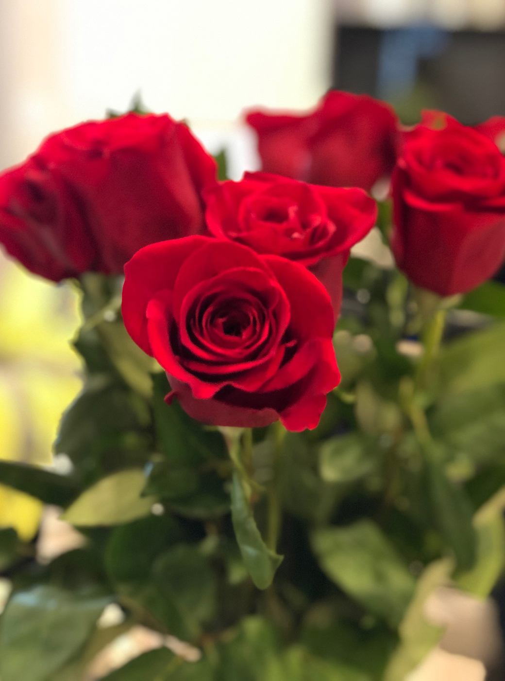 Clark Wilson Builder Grand Opening Event Roses Photo